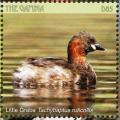 Colnect-5033-990-Little-Grebe-----Tachybaptus-ruficollis.jpg