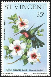 Colnect-1755-556-Purple-throated-Carib%C2%A0Eulampis-jugularis-Hibiscus--Single.jpg