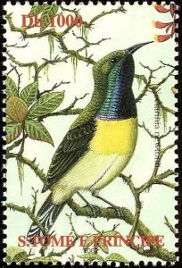 Colnect-3684-088-Newton--s-Sunbird-nbsp--nbsp--nbsp--nbsp-Anabathmis-newtonii.jpg