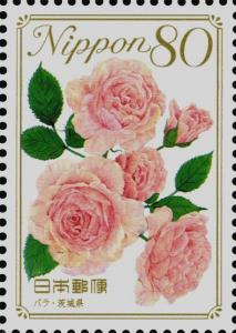 Colnect-4145-046-Rose---Ibaraki-Prefecture.jpg