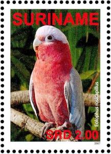 Colnect-3837-098-Galah%C2%A0%C2%A0%C2%A0%C2%A0Eolophus-roseicapilla.jpg