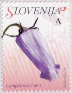 Colnect-3011-579-Flowers-of-Slovenia---Campanula-zoysii-Favratia-zoysii.jpg