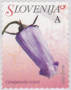 Colnect-2997-848-Flowers-of-Slovenia---Campanula-zoysii-Favratia-zoysii.jpg