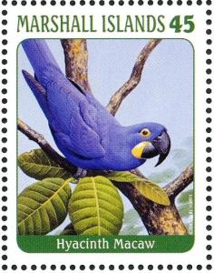 Colnect-3671-485-Hyacinth-Macaw%C2%A0%C2%A0%C2%A0%C2%A0Anodorhynchus-hyacinthinus.jpg