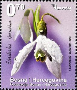 Colnect-5132-348-Flora---Snowdrop-flowers1.jpg