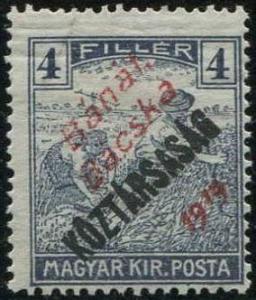 Colnect-940-879-Overprint--B%C3%A1n%C3%A1t-B%C3%A1cska-1919-.jpg