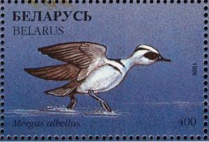 Colnect-1047-765-Smew%C2%A0Mergellus-albellus.jpg