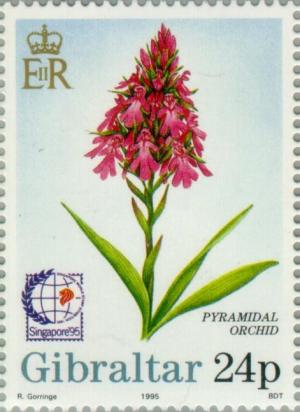 Colnect-120-758-Singapore---95---Pyramidal-Orchid.jpg