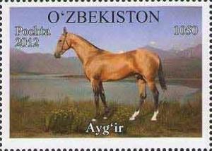 Colnect-1308-514--Aygir--Equus-ferus-caballus.jpg