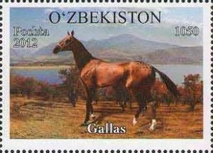 Colnect-1308-515--Gallas--Equus-ferus-caballus.jpg