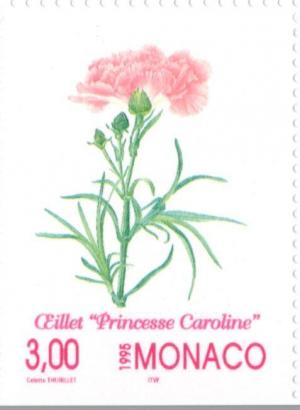 Colnect-149-801-Dianthus---Princesse-Caroline--.jpg