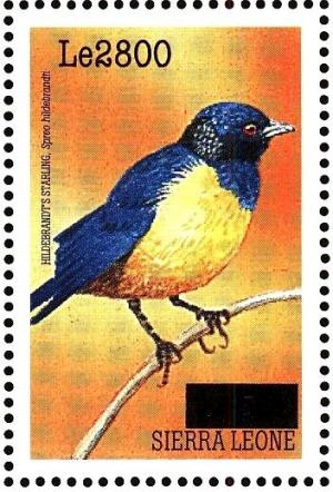 Colnect-3561-481-Hildebrandt--s-Starling-nbsp--nbsp--nbsp--nbsp-Lamprotornis-hildebrandti.jpg