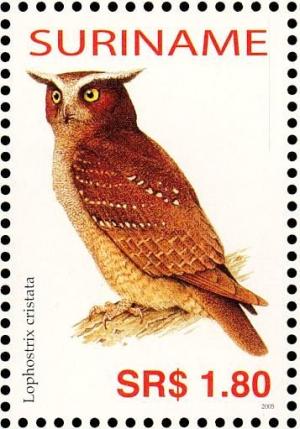 Colnect-3837-073-Crested-Owl%C2%A0%C2%A0%C2%A0%C2%A0Lophostrix-cristata.jpg