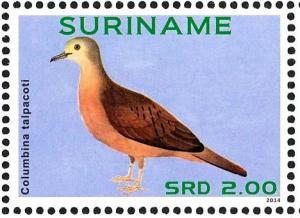 Colnect-3837-183-Ruddy-Ground-Dove-nbsp--nbsp--nbsp--nbsp-Columbina-talpacoti.jpg