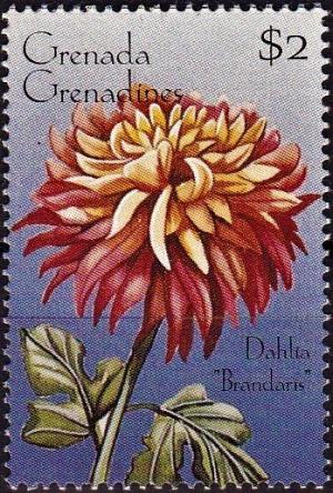 Colnect-3957-071-Dahlia--quot-Brandaris-quot-.jpg