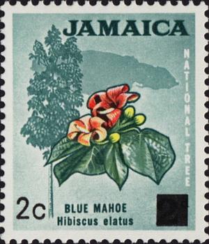 Colnect-4022-037-Blue-mahoe---National-Tree-Surcharged.jpg