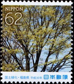 Colnect-5371-556-Japanese-Zelkova-Zelkova-serrata.jpg