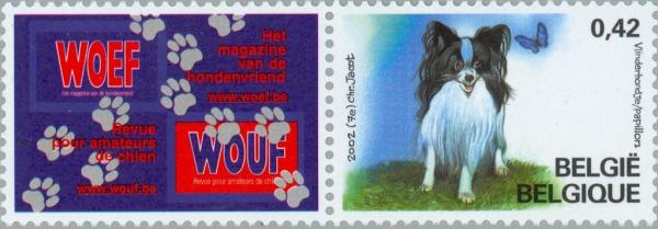 Colnect-187-807-Belgian-pedigree-dog--quot-Vlinderhondje-Papillon-quot-.jpg