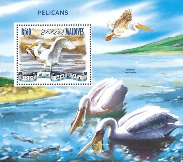 Colnect-3613-934-Great-White-Pelican-nbsp--nbsp--nbsp--nbsp-Pelecanus-onocrotalus.jpg