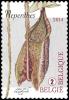 Colnect-1958-039-Nepenthes---Tropical-pitcher-plant.jpg