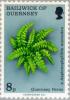 Colnect-125-644-Guernsey-Ferns---Asplenophyllitis-microdon.jpg