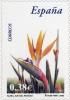 Colnect-581-636-Flora---Fauna-Strelitzia.jpg