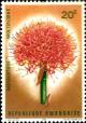 Colnect-1541-662-Blood-Lily---Haemanthus-multiflorus.jpg