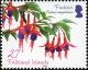 Colnect-2189-325-Fuchsia---Fuchsia-magellanica.jpg