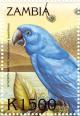 Colnect-3507-631-Hyacinth-Macaw%C2%A0-%C2%A0Anodorhynchus-hyacinthinus.jpg