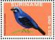 Colnect-3837-187-Blue-black-Grosbeak-nbsp--nbsp--nbsp--nbsp-Cyanocompsa-cyanoides.jpg